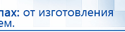 Электрод Скэнар - лицевой двойной Пешки купить в Белебее, Электроды Скэнар купить в Белебее, Скэнар официальный сайт - denasvertebra.ru